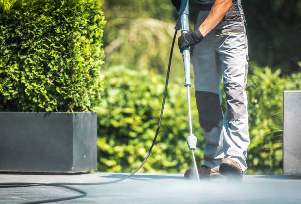 Best Sidewalk and Walkway Cleaning  in Marshall, MI