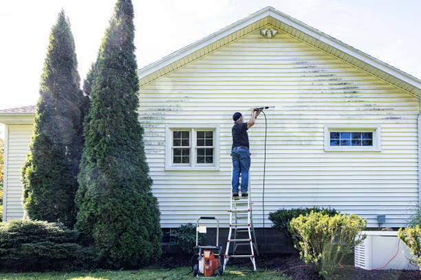 Best Driveway Pressure Washing  in Marshall, MI